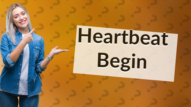 Heartbeat Begin