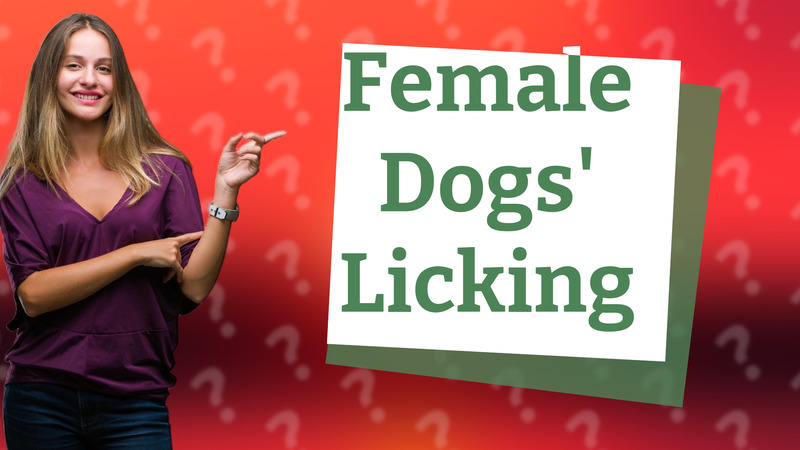 Female Dogs' Licking