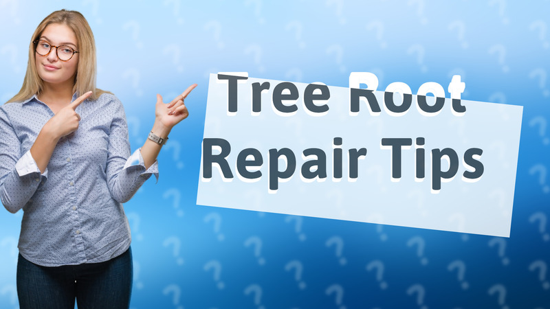 Tree Root Repair Tips