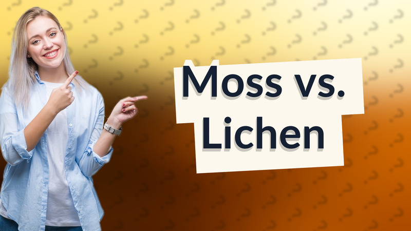 Moss vs. Lichen