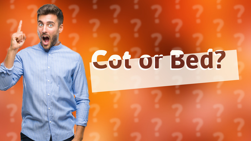 Cot or Bed?