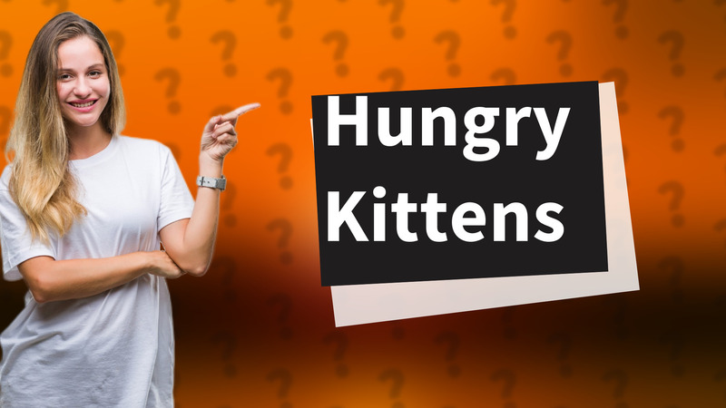 Hungry Kittens
