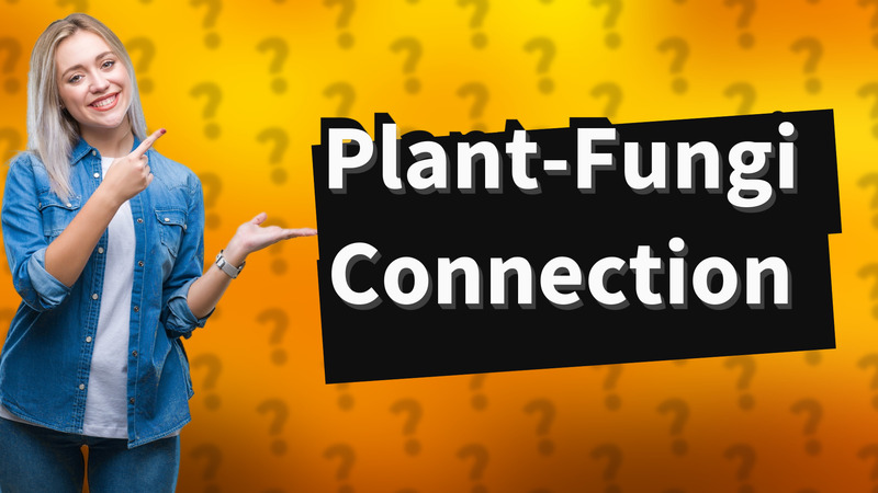 Plant-Fungi Connection