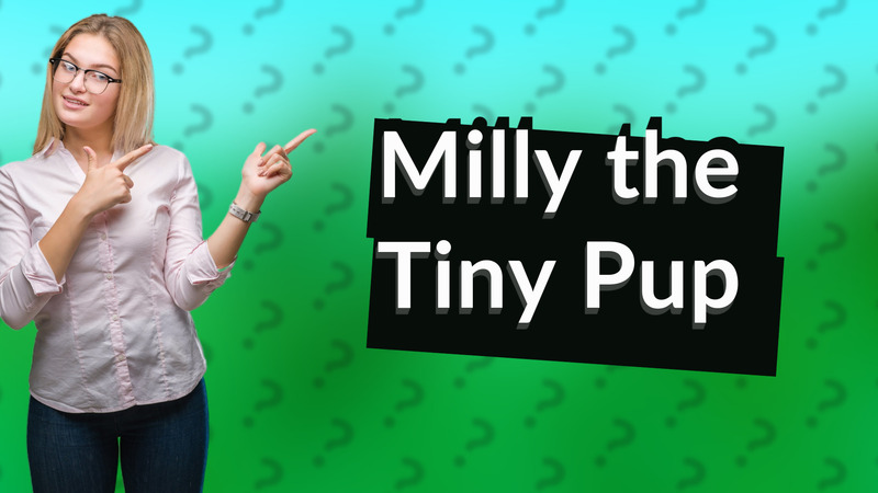 Milly the Tiny Pup