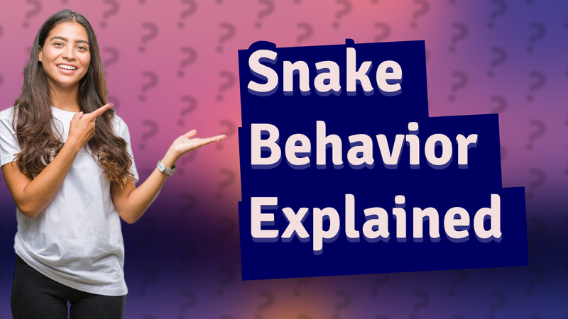 Snake Behavior Explained