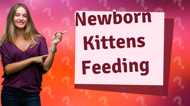 Newborn Kittens Feeding