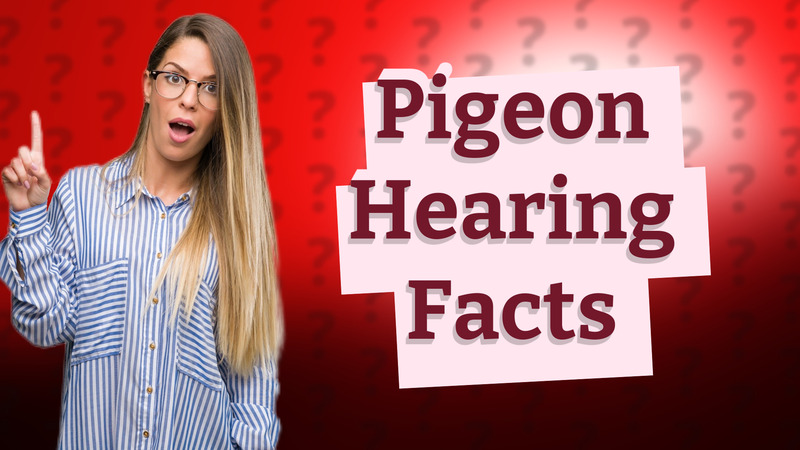Pigeon Hearing Facts
