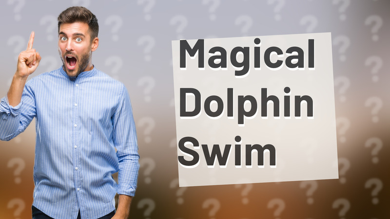 Magical Dolphin Swim