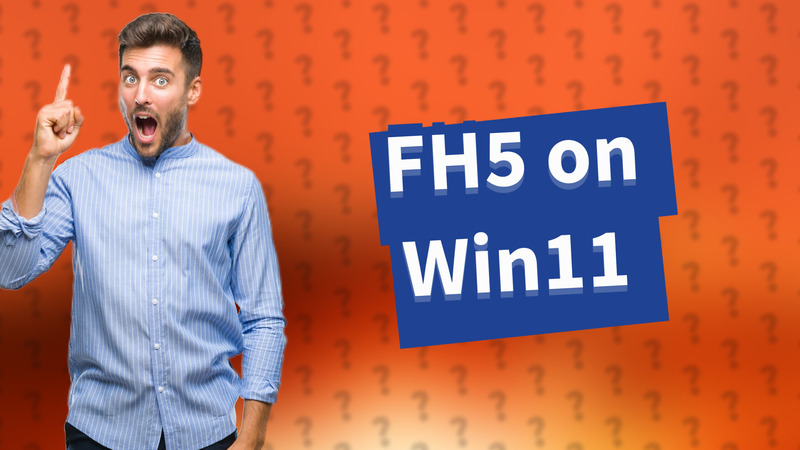 FH5 on Win11