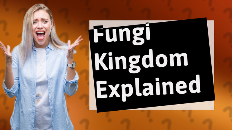 Fungi Kingdom Explained