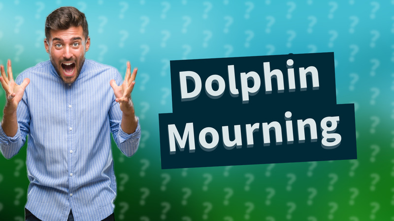 Dolphin Mourning