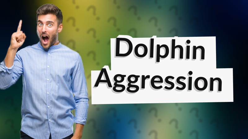 Dolphin Aggression