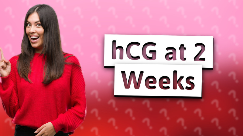 hCG at 2 Weeks