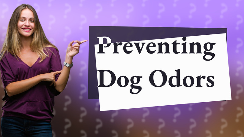 Preventing Dog Odors