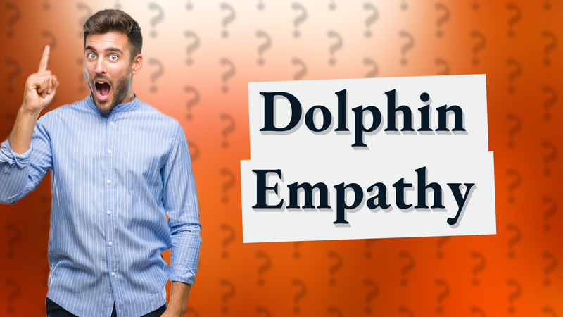 Dolphin Empathy