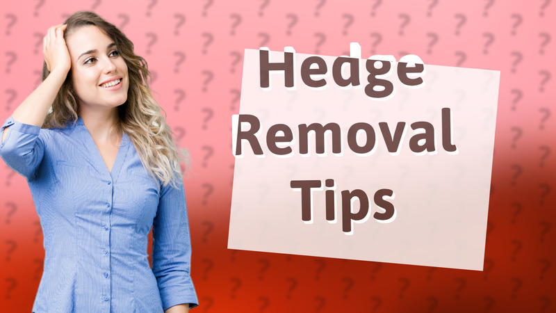 Hedge Removal Tips