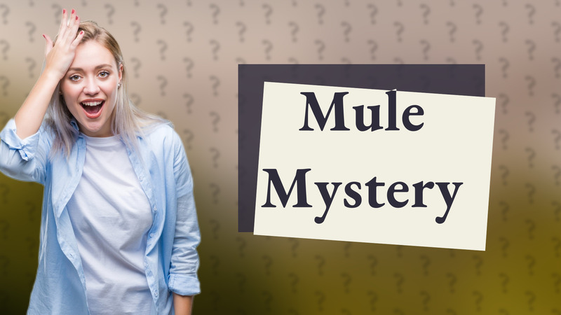 Mule Mystery