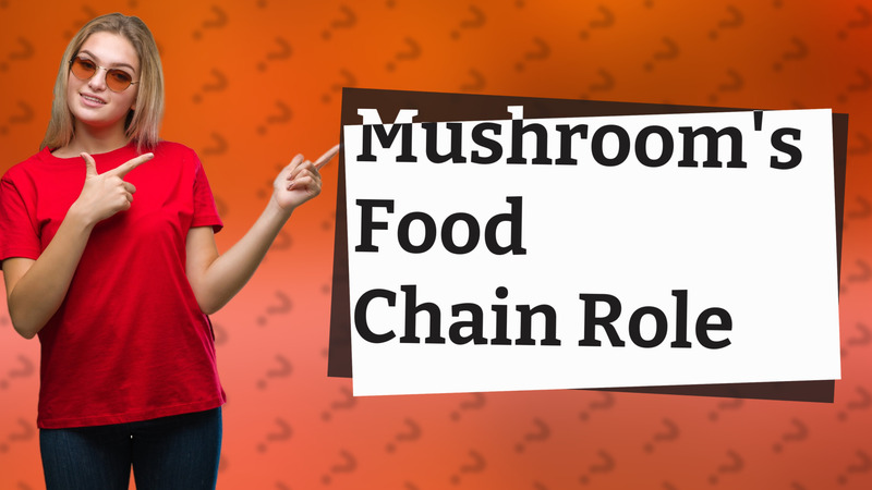 Mushroom's Food Chain Role