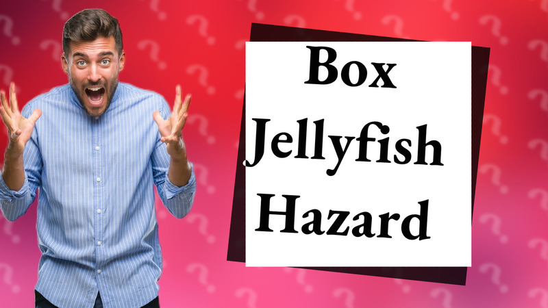 Box Jellyfish Hazard
