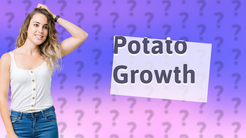 Potato Growth