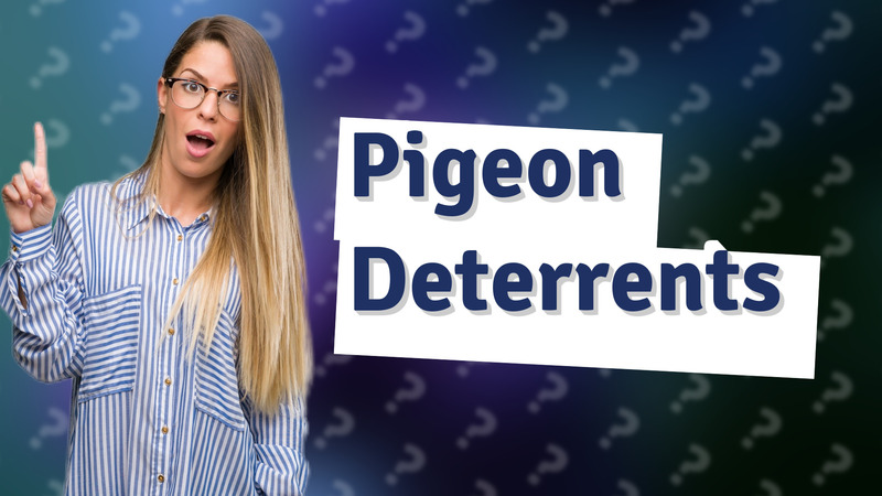 Pigeon Deterrents