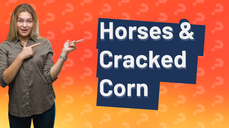 Horses & Cracked Corn