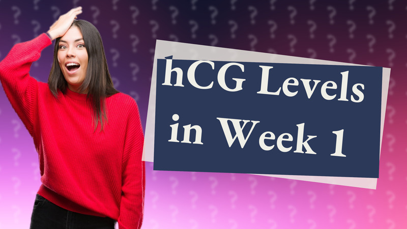 hCG Levels in Week 1