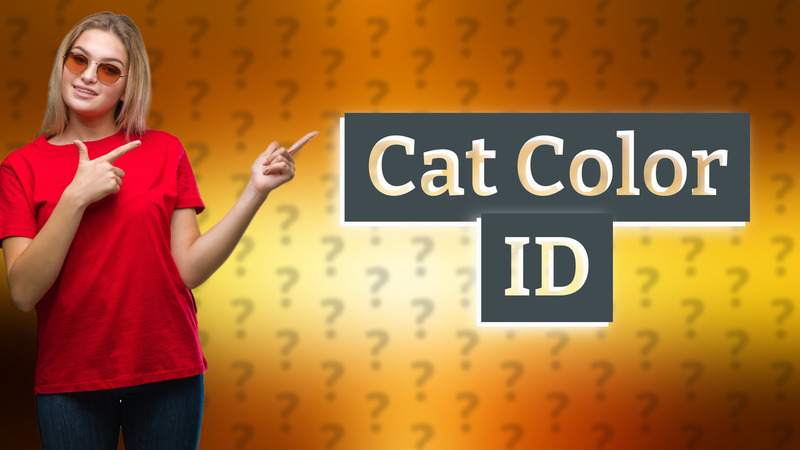 Cat Color ID