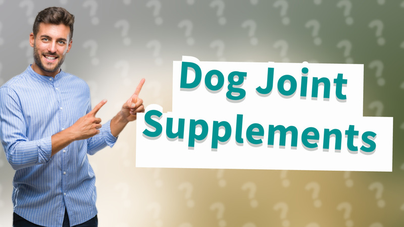 Dog Joint Supplements