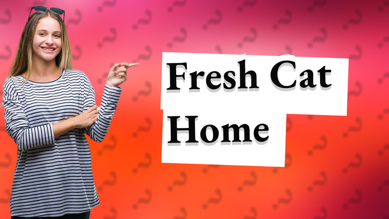 Fresh Cat Home