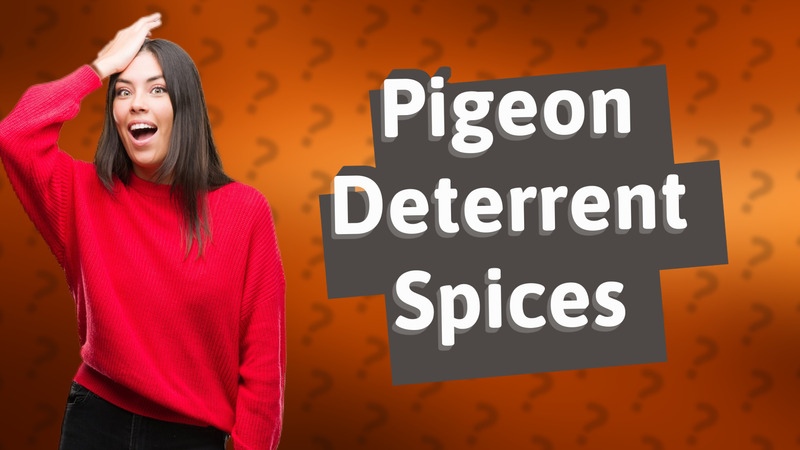 Pigeon Deterrent Spices