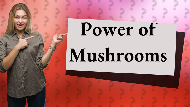 Power of Mushrooms