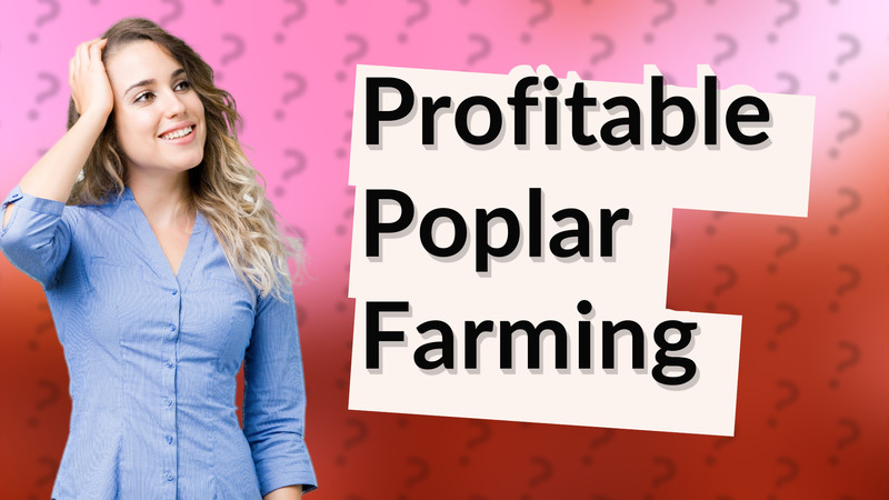 Profitable Poplar Farming
