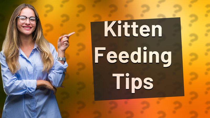Kitten Feeding Tips