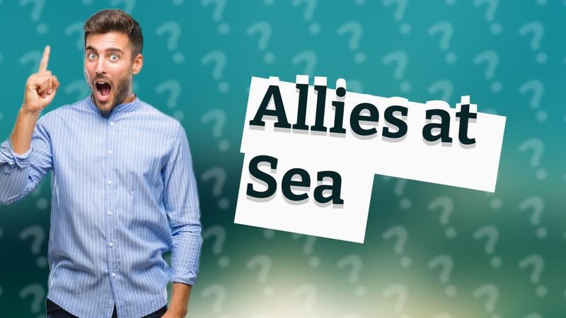 Allies at Sea