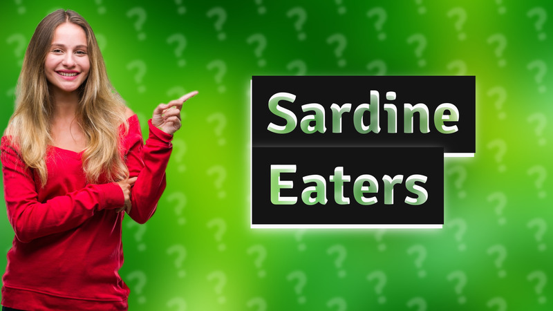 Sardine Eaters