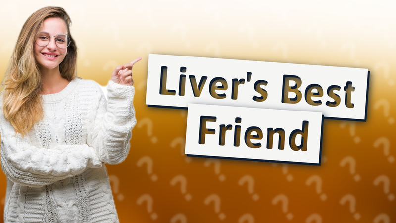 Liver's Best Friend
