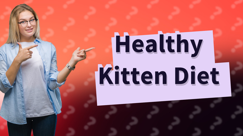 Healthy Kitten Diet