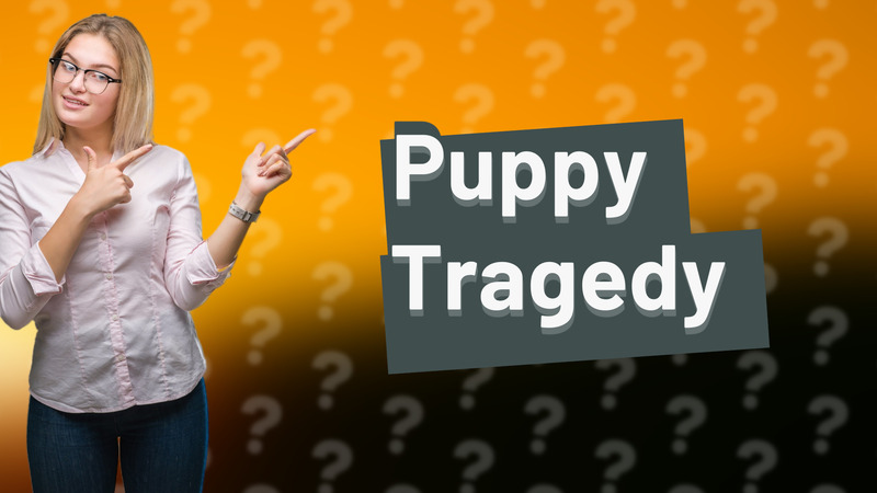Puppy Tragedy