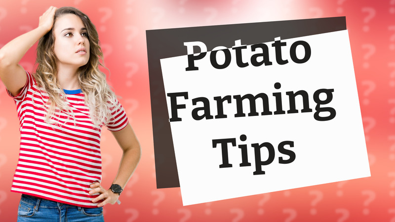 Potato Farming Tips