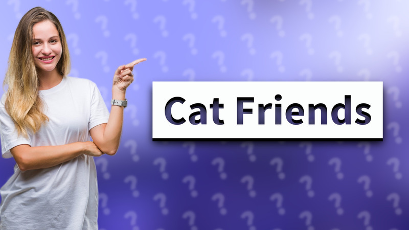 Cat Friends