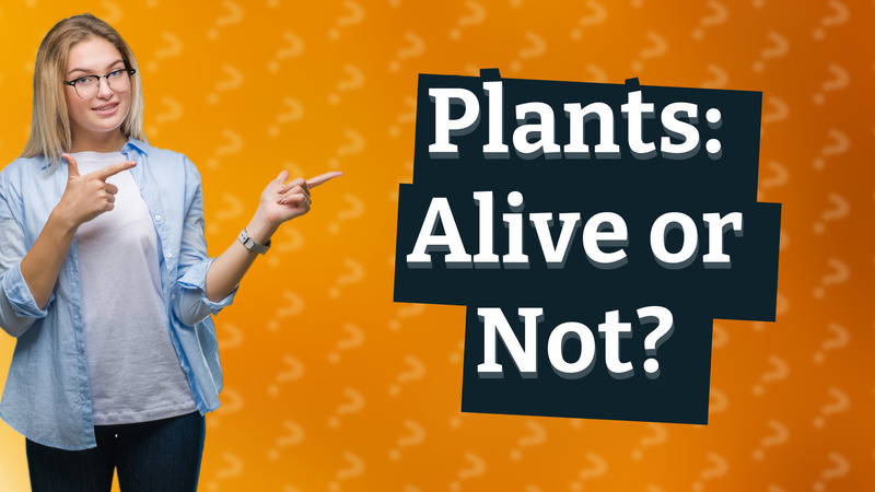 Plants: Alive or Not?