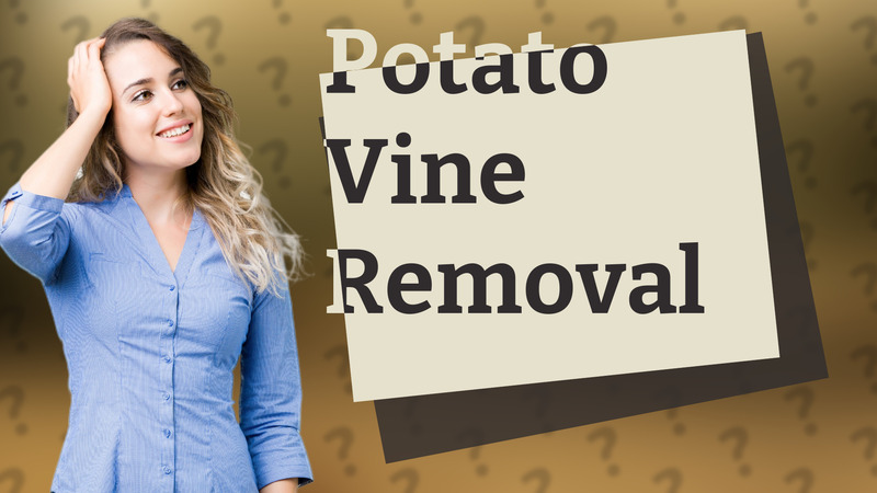 Potato Vine Removal