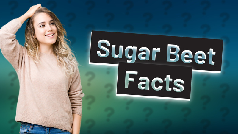 Sugar Beet Facts