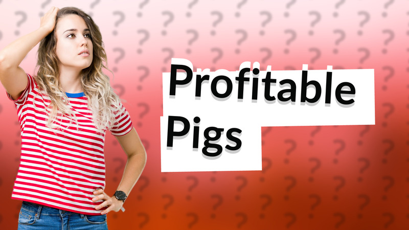 Profitable Pigs