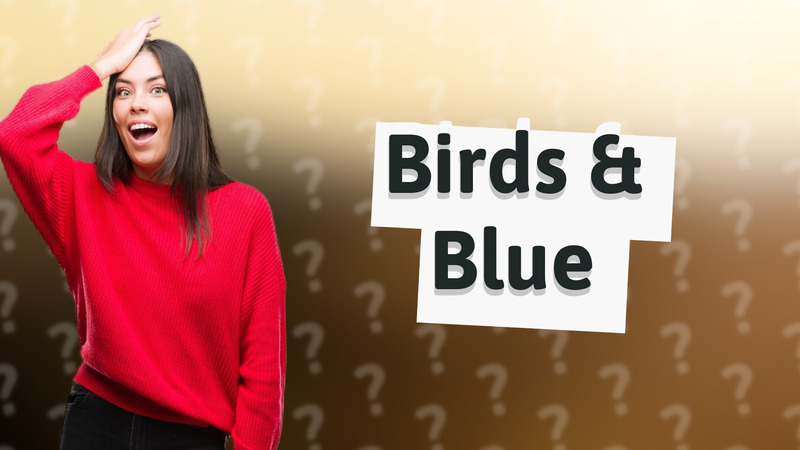Birds & Blue