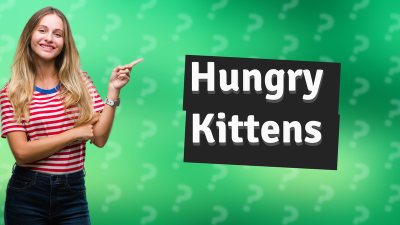 Hungry Kittens
