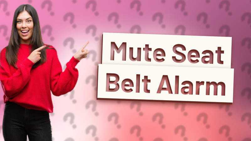 Mute Seat Belt Alarm