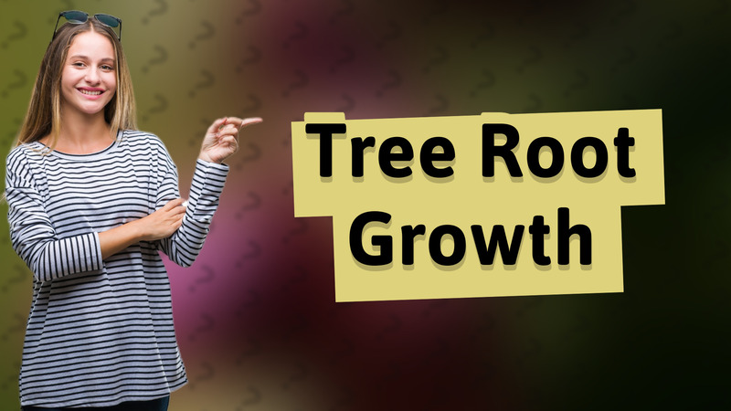 Tree Root Growth