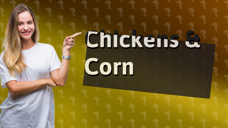 Chickens & Corn